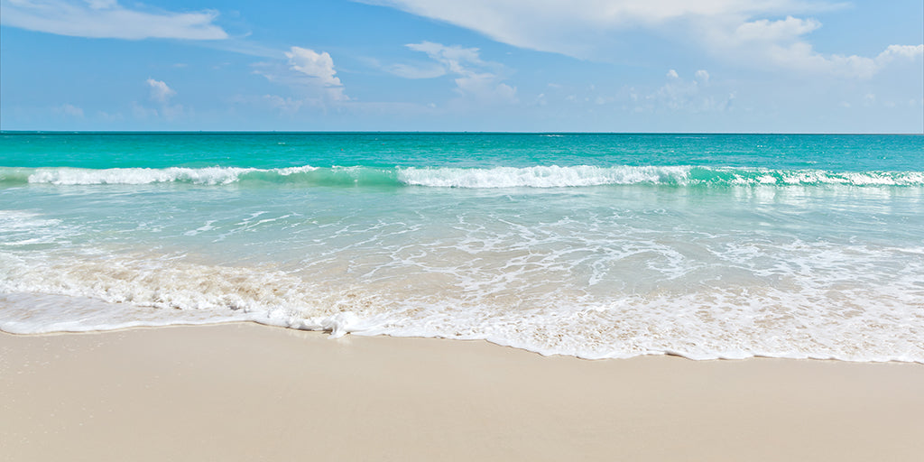 Beach 2088