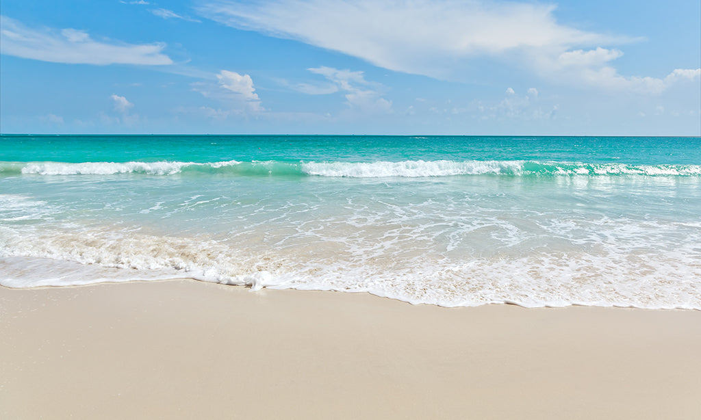 Beach 2088