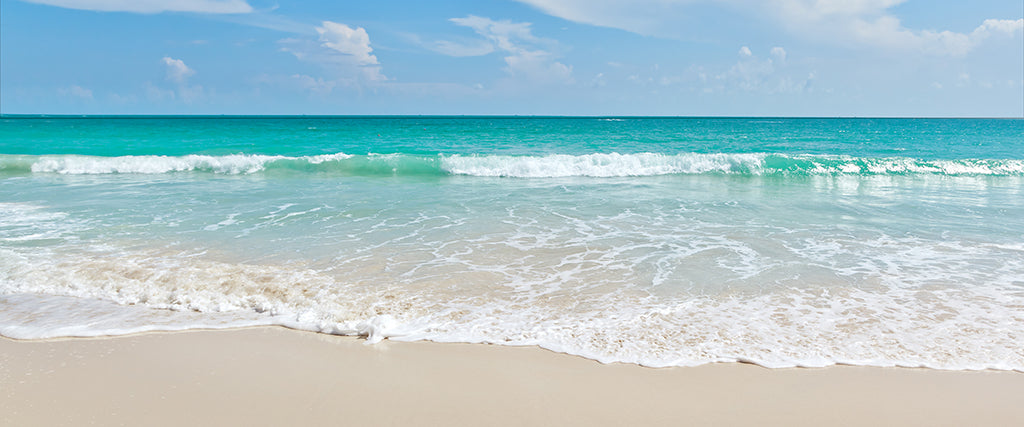Beach 2088