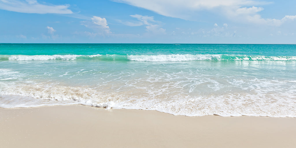 Beach 2088
