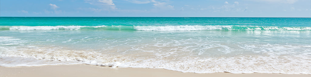 Beach 2088