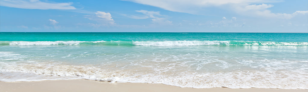 Beach 2088