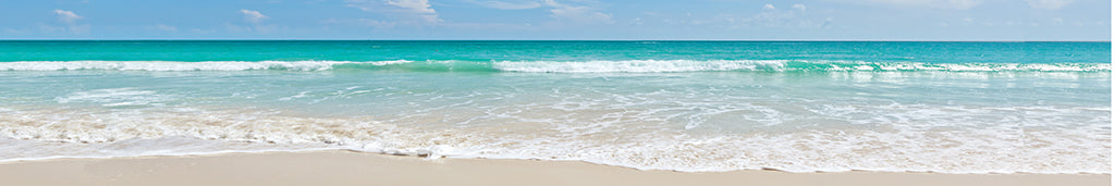 Beach 2088