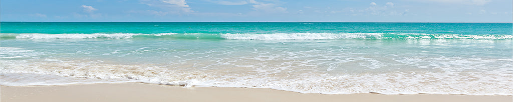 Beach 2088