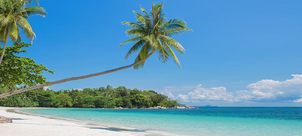 Beach 2978