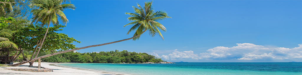 Beach 2978