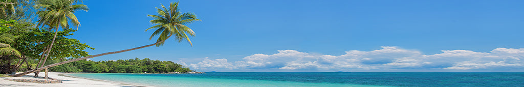 Beach 2978