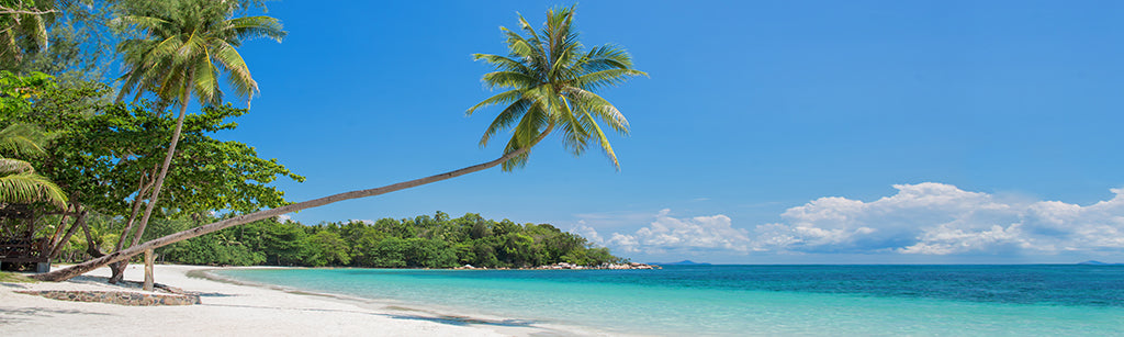 Beach 2978