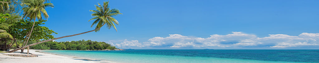 Beach 2978