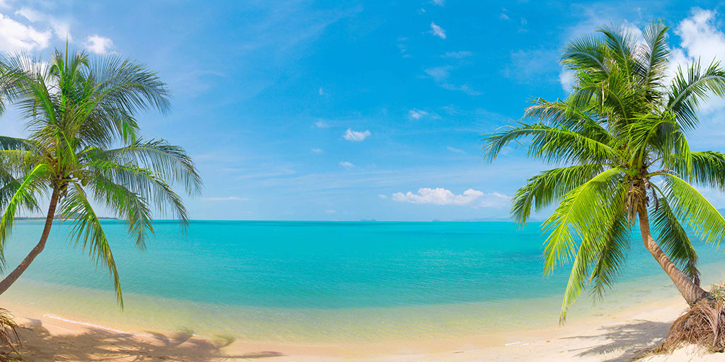 Beach 7092