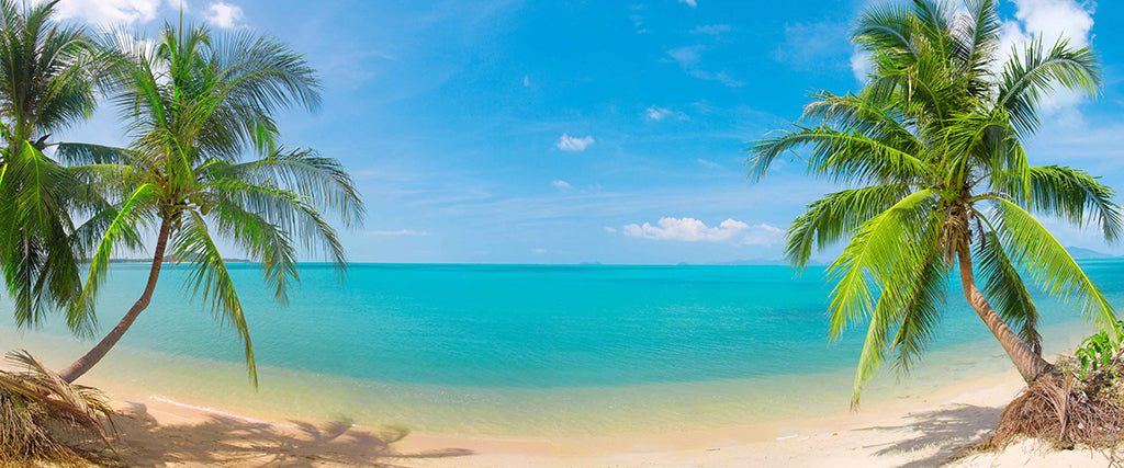 Beach 7092