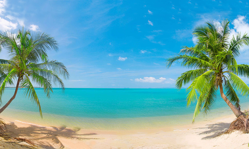 Beach 7092