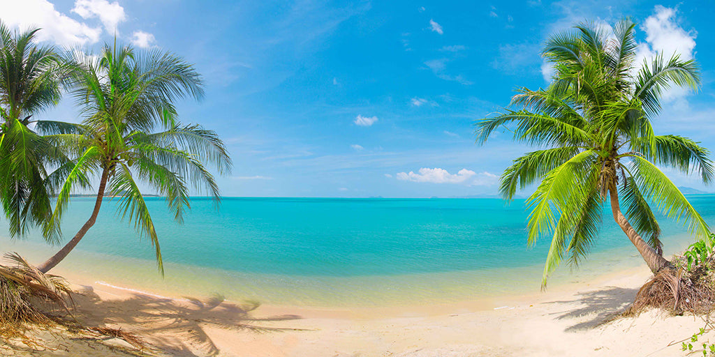 Beach 7092