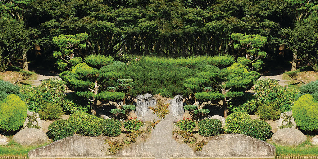 Garden 2457