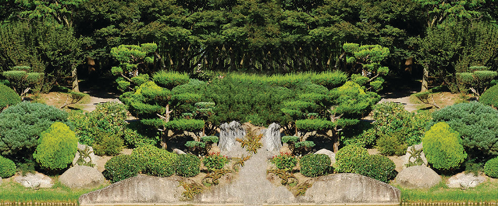 Garden 2457