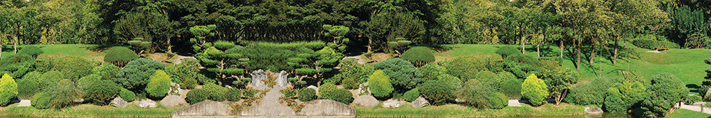 Garden 2457