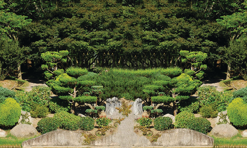 Garden 2457