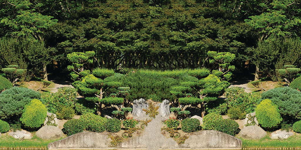 Garden 2457