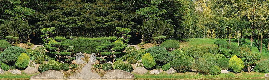 Garden 2457