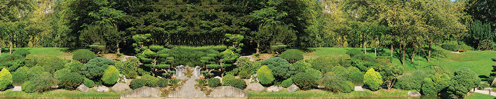 Garden 2457