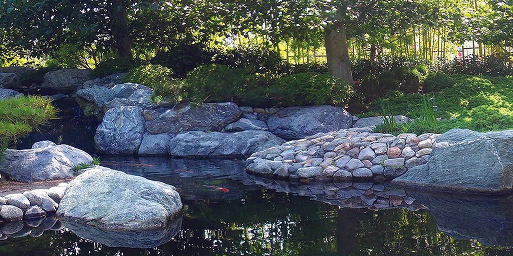Garden 5492