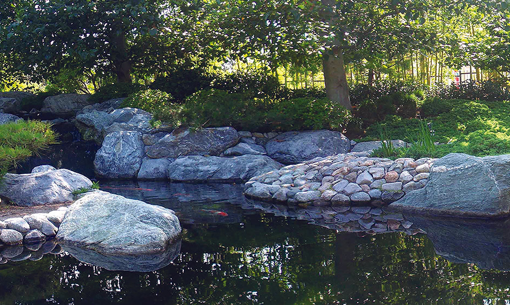 Garden 5492