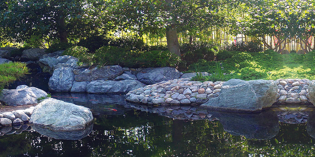 Garden 5492