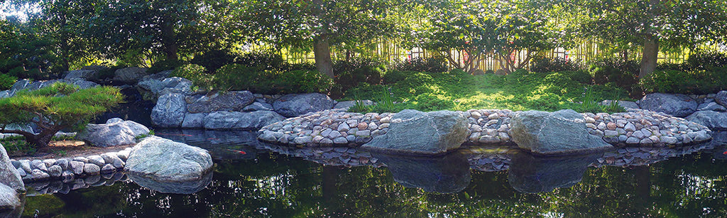 Garden 5492