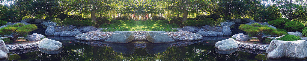 Garden 5492