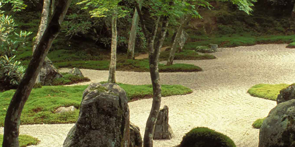 Garden 9586