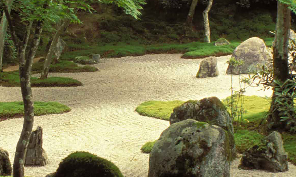 Garden 9586