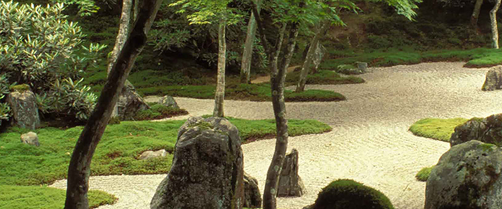 Garden 9586