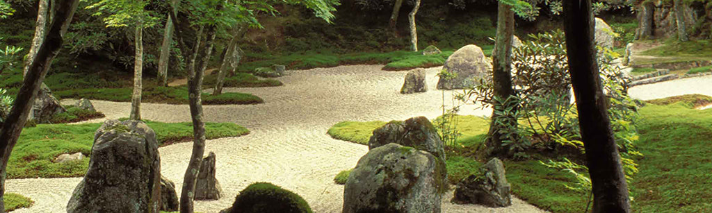Garden 9586