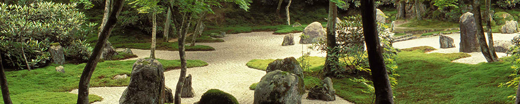 Garden 9586