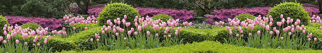 Garden 9611