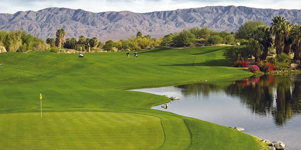 Golf 0309