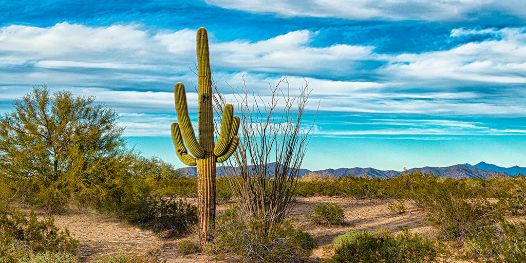 Southwest 0002