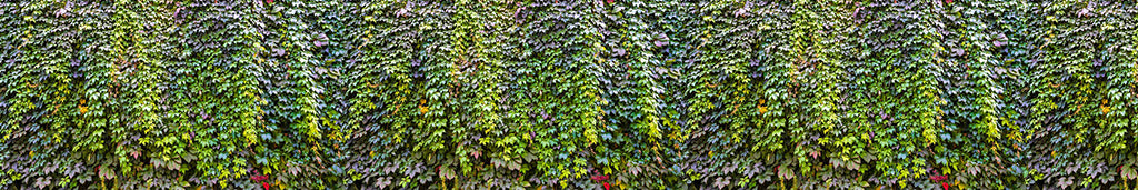 Texture 0053