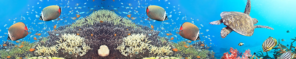 Undersea 2803