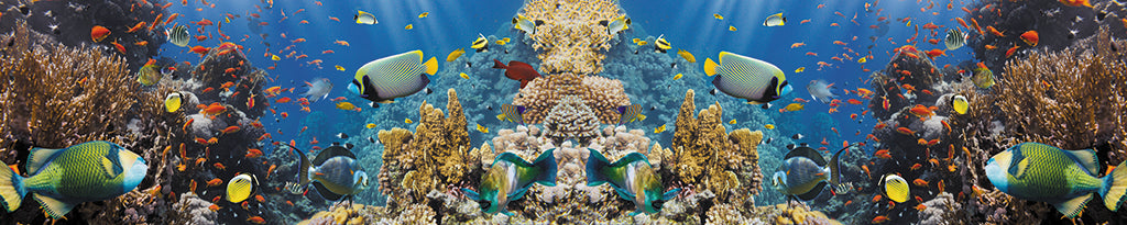 Undersea 3148
