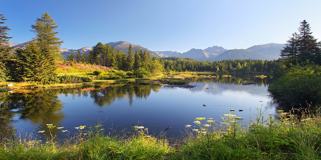 Mountains 5938