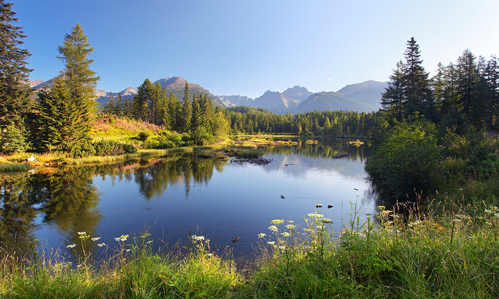 Mountains 5938