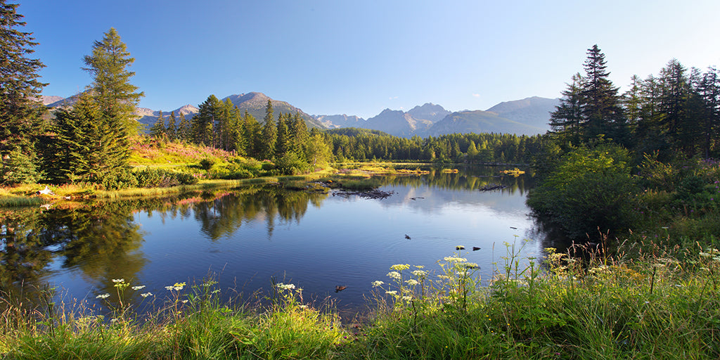 Mountains 5938