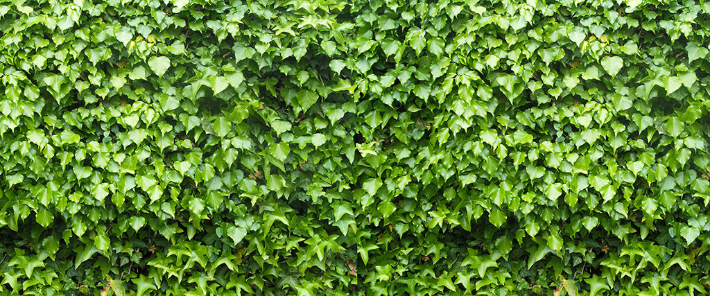 Texture 2061 Light