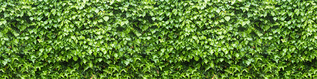 Texture 2061 Light