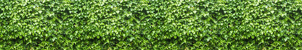Texture 2061 Light