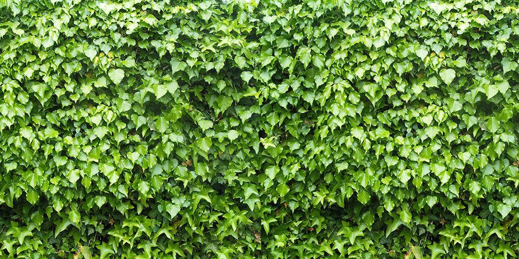 Texture 2061 Light