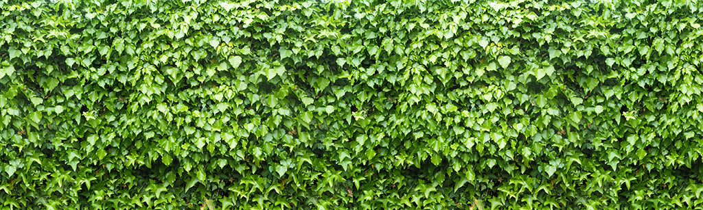 Texture 2061 Light