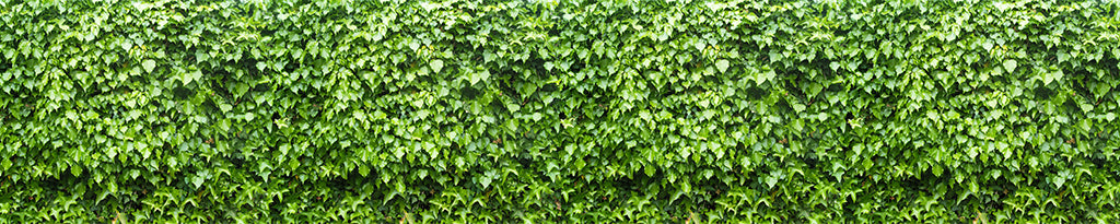 Texture 2061 Light