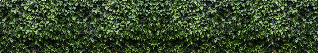 Texture 2061 Dark